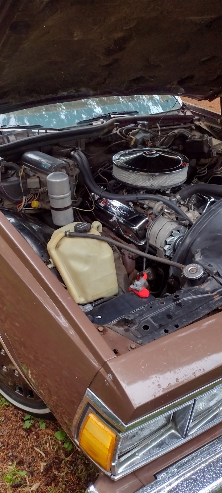 Chevrolet-Caprice-1979-Sedan-3