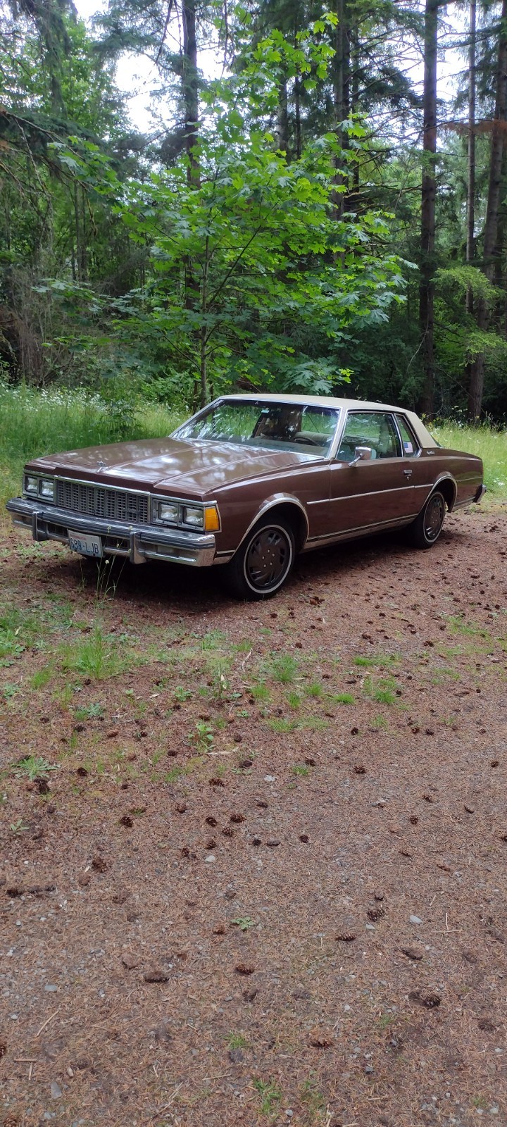 Chevrolet-Caprice-1979-Sedan