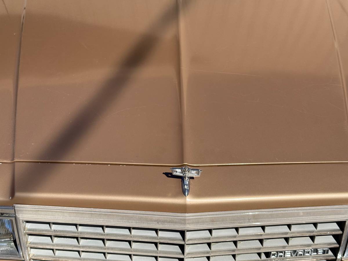 Chevrolet-Caprice-1984-custom-7