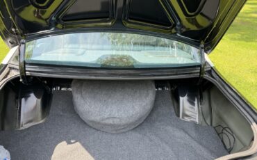 Chevrolet-Caprice-1995-Sedan-21