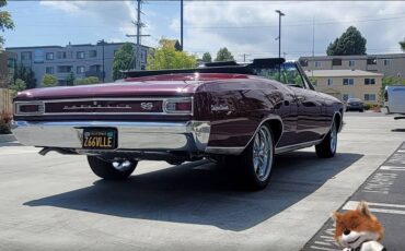 Chevrolet-Chavelle-ss-matching-1966-3