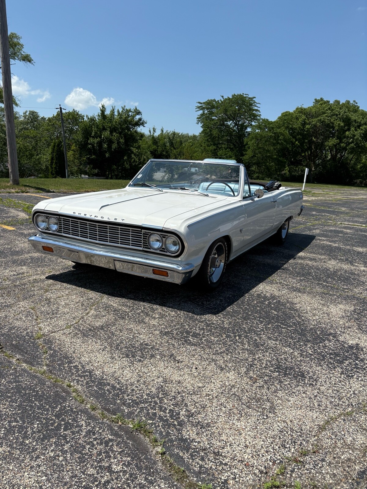Chevrolet-Chevelle-1964-12