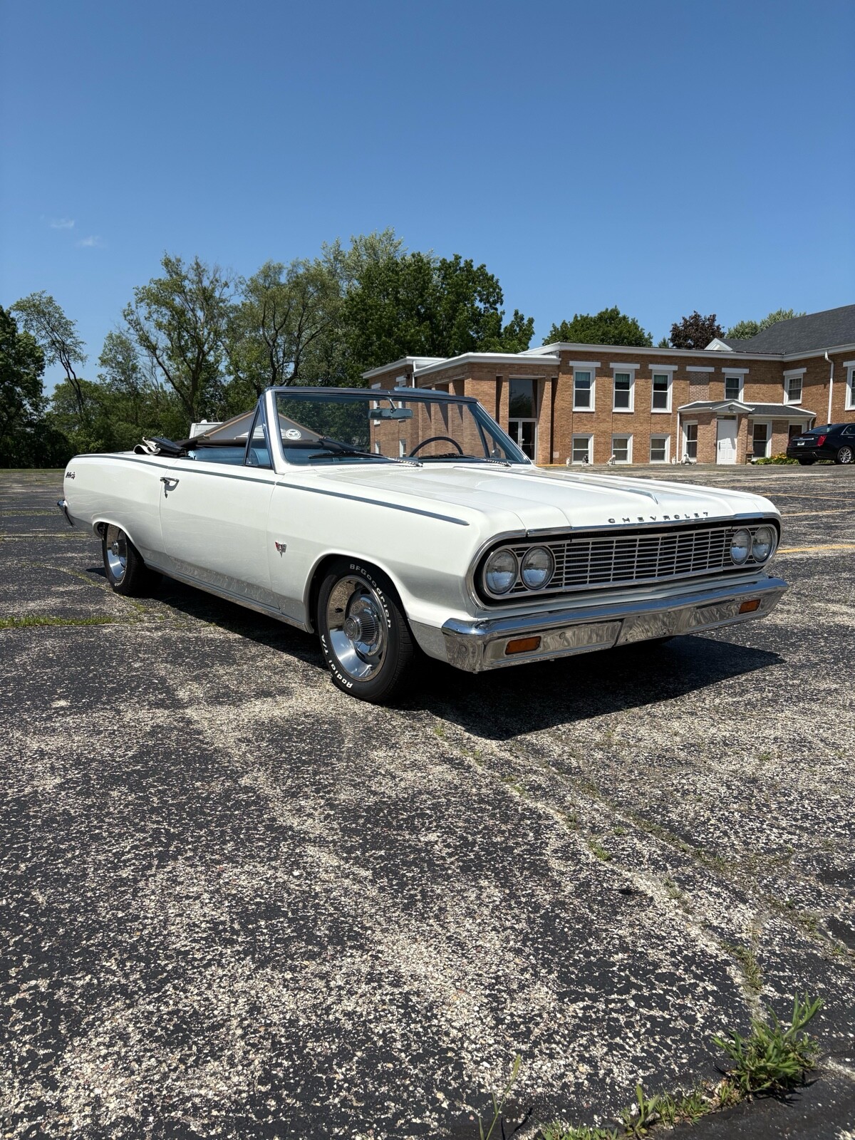 Chevrolet-Chevelle-1964-13