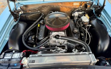 Chevrolet-Chevelle-1965-Coupe-13