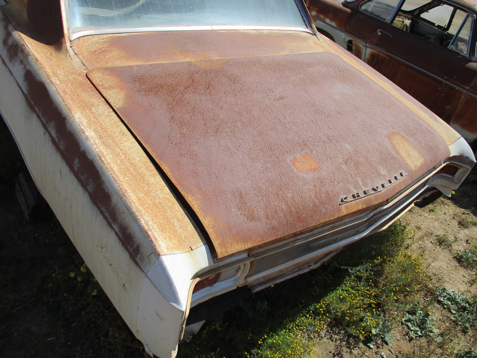 Chevrolet-Chevelle-1966-11