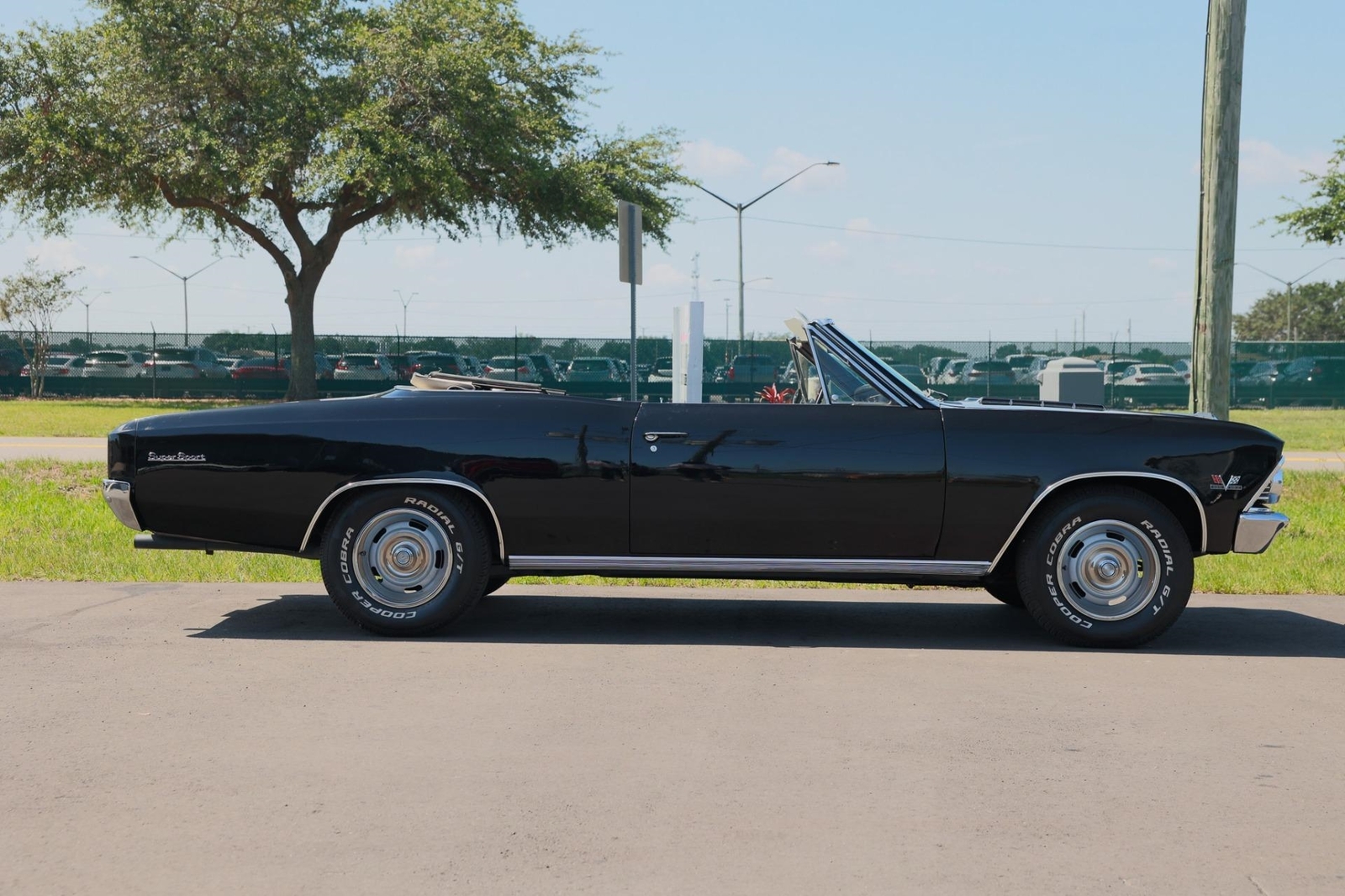 Chevrolet-Chevelle-1966-2-Door-6