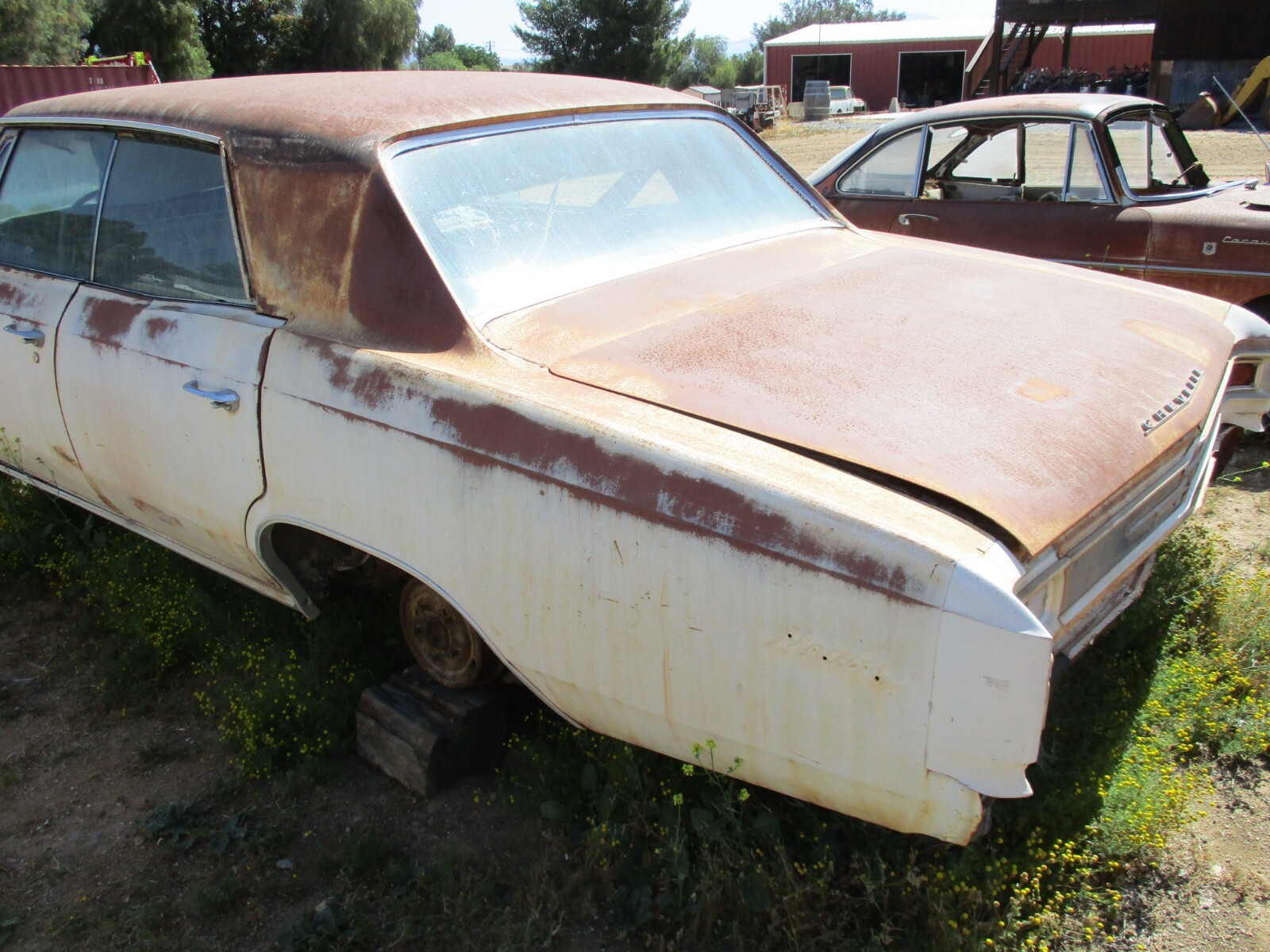 Chevrolet-Chevelle-1966-3