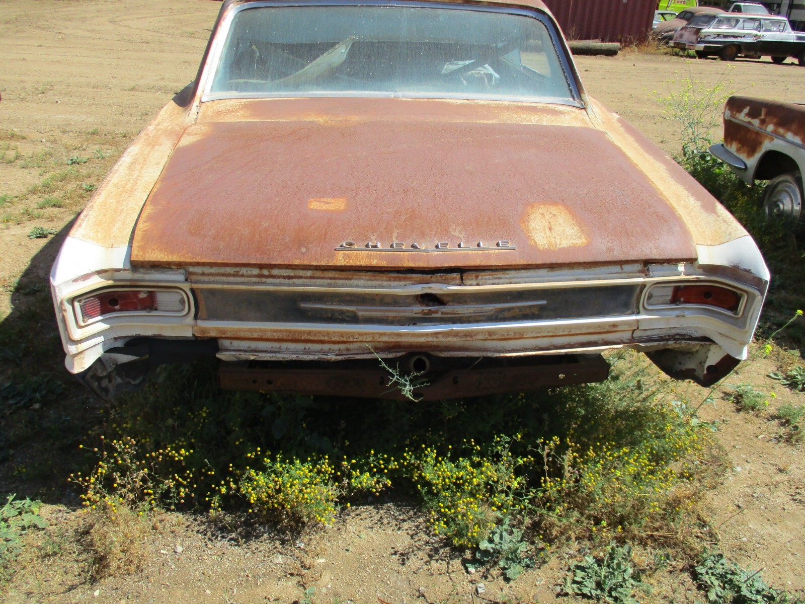 Chevrolet-Chevelle-1966-4