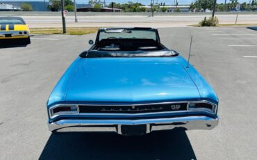 Chevrolet-Chevelle-1966-Convertible-4