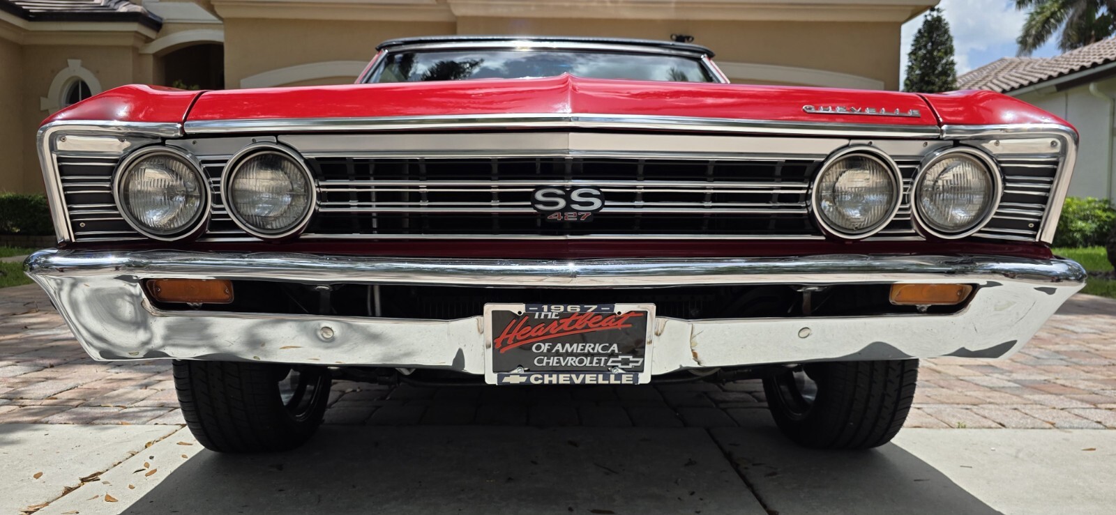 Chevrolet-Chevelle-1967-Convertible-12