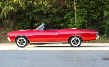 Chevrolet-Chevelle-1967-Convertible-6