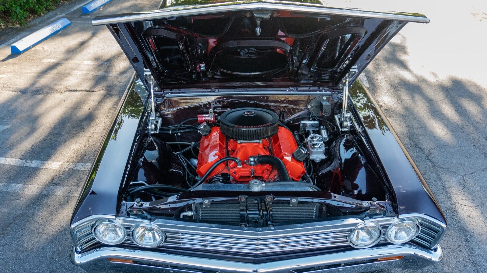 Chevrolet-Chevelle-1967-Coupe-14