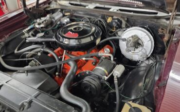 Chevrolet-Chevelle-1969-2-dr-24