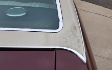 Chevrolet-Chevelle-1969-2-dr-39