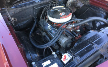 Chevrolet-Chevelle-1969-Coupe-16