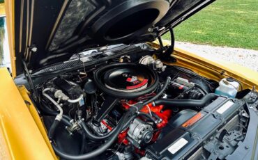 Chevrolet-Chevelle-1970-Coupe-2
