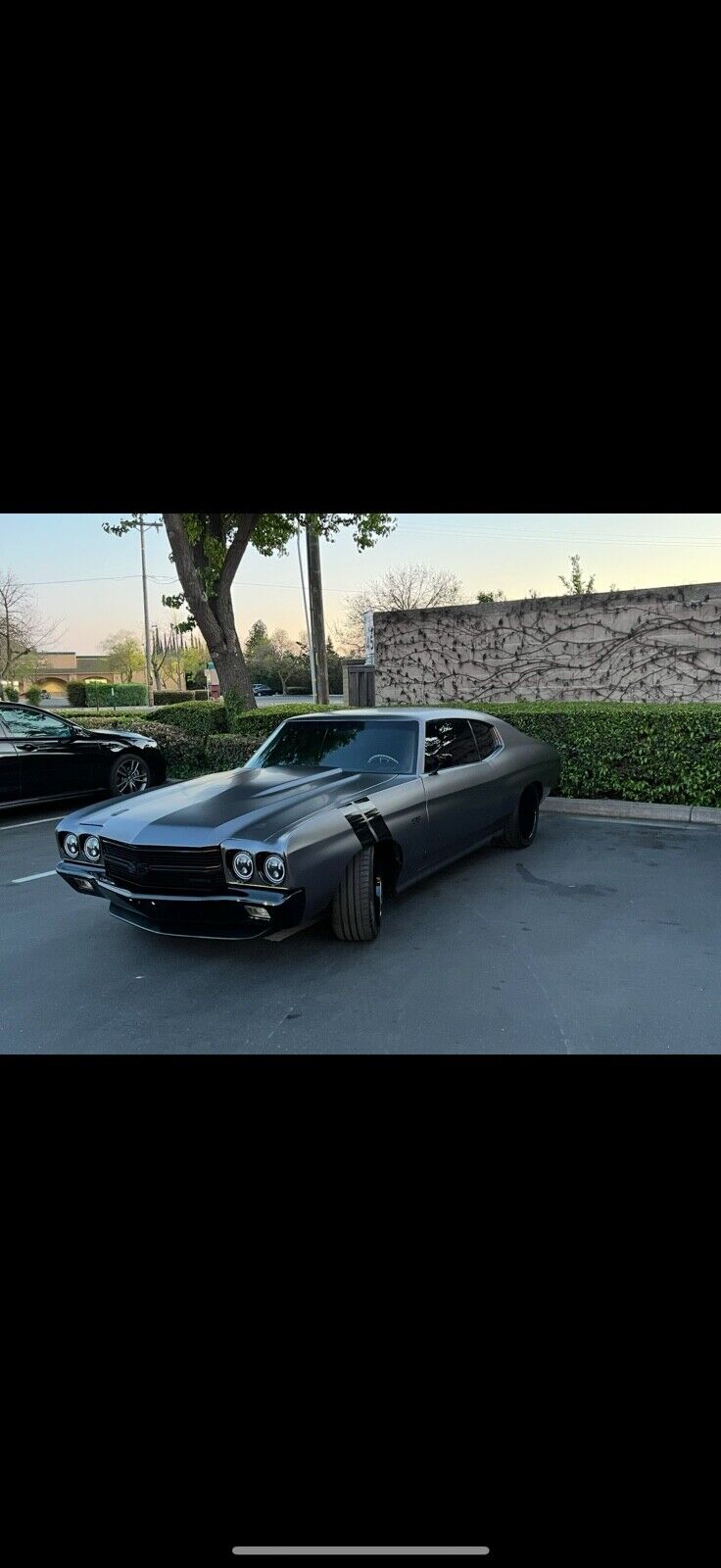 Chevrolet-Chevelle-1970-Coupe-6