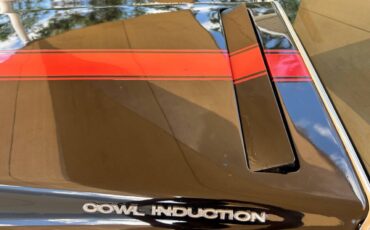 Chevrolet-Chevelle-1970-Wagon-22