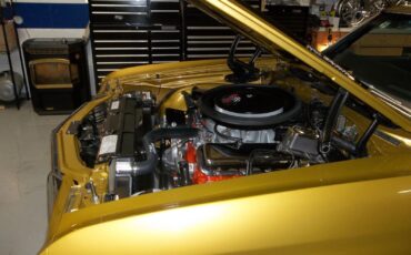 Chevrolet-Chevelle-1972-Coupe-15
