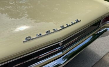 Chevrolet-Chevelle-6.0-LS-Whipple-supercharger-6-speed-treme-1966-30