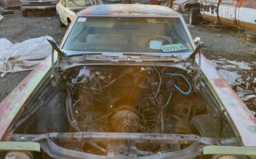 Chevrolet-Chevelle-malibu-1972-green-5