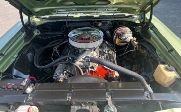 Chevrolet-Chevelle-ss-1969-green-14