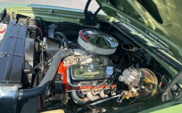 Chevrolet-Chevelle-ss-1969-green-15