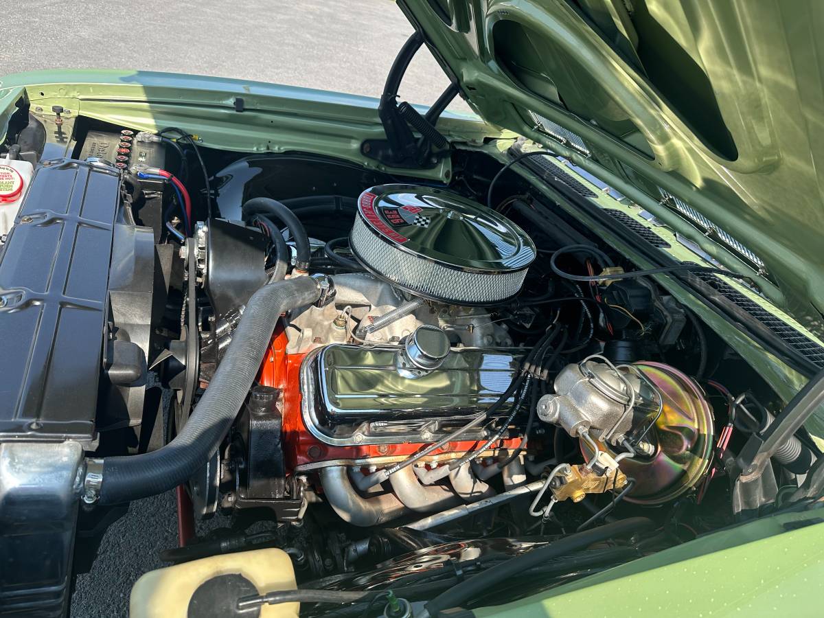 Chevrolet-Chevelle-ss-1969-green-15