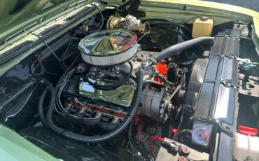 Chevrolet-Chevelle-ss-1969-green-16