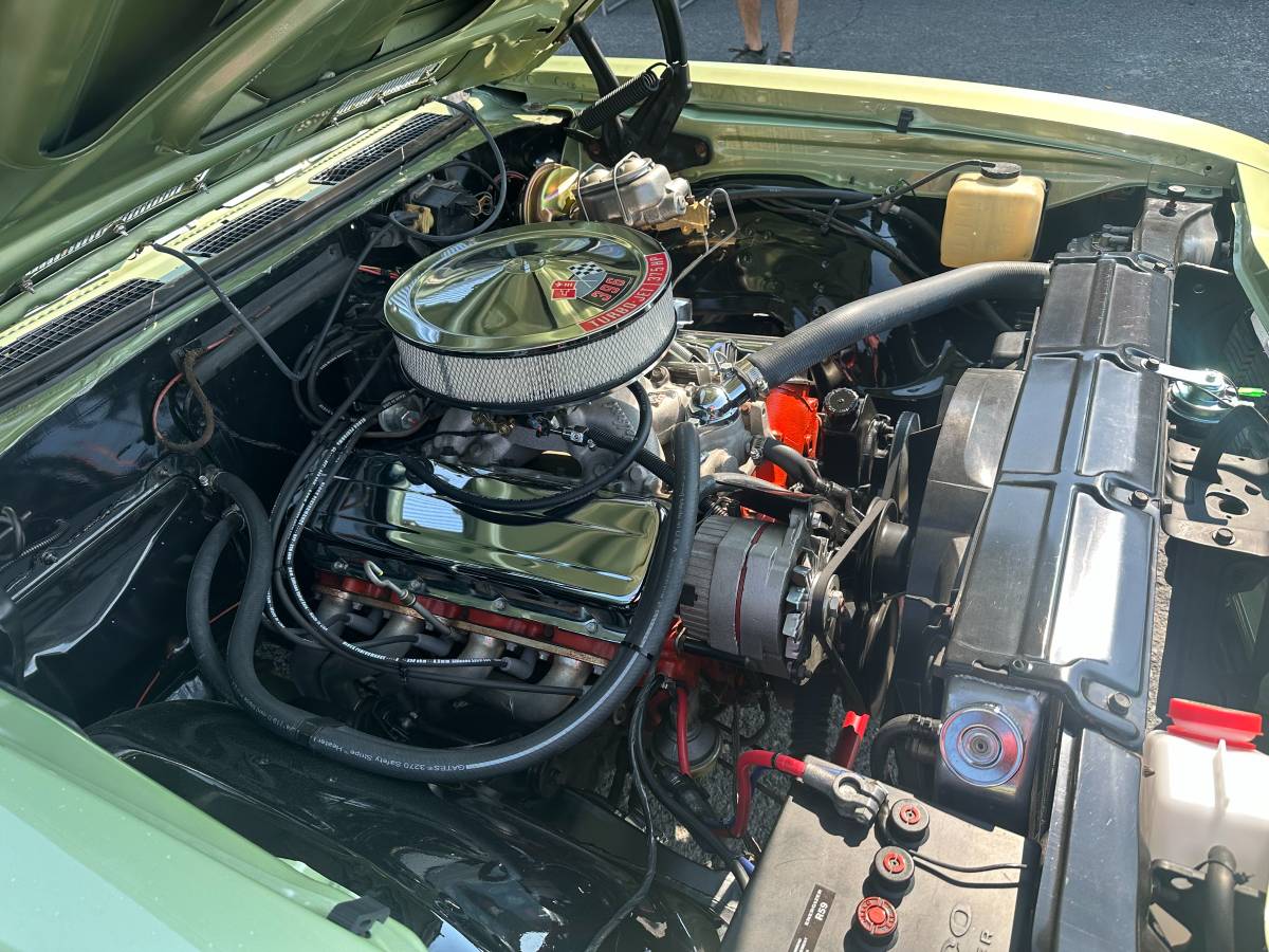 Chevrolet-Chevelle-ss-1969-green-16
