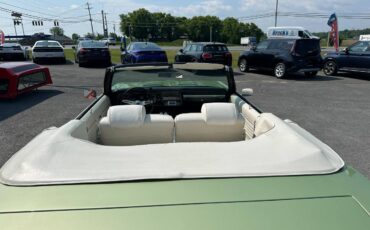 Chevrolet-Chevelle-ss-1969-green-17