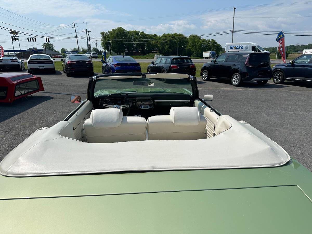 Chevrolet-Chevelle-ss-1969-green-17