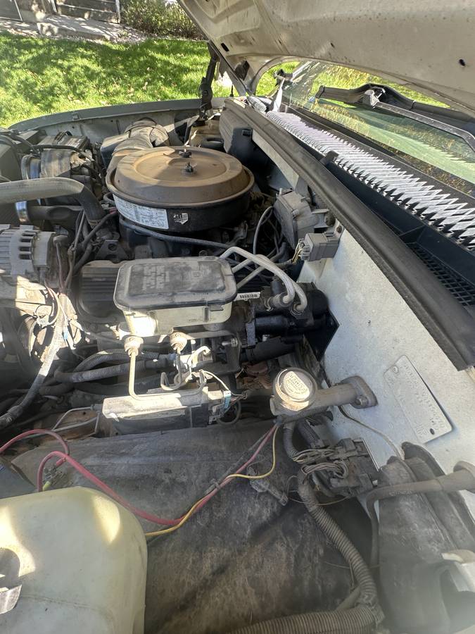 Chevrolet-Cheyenne-3500-ck-1994-green-8