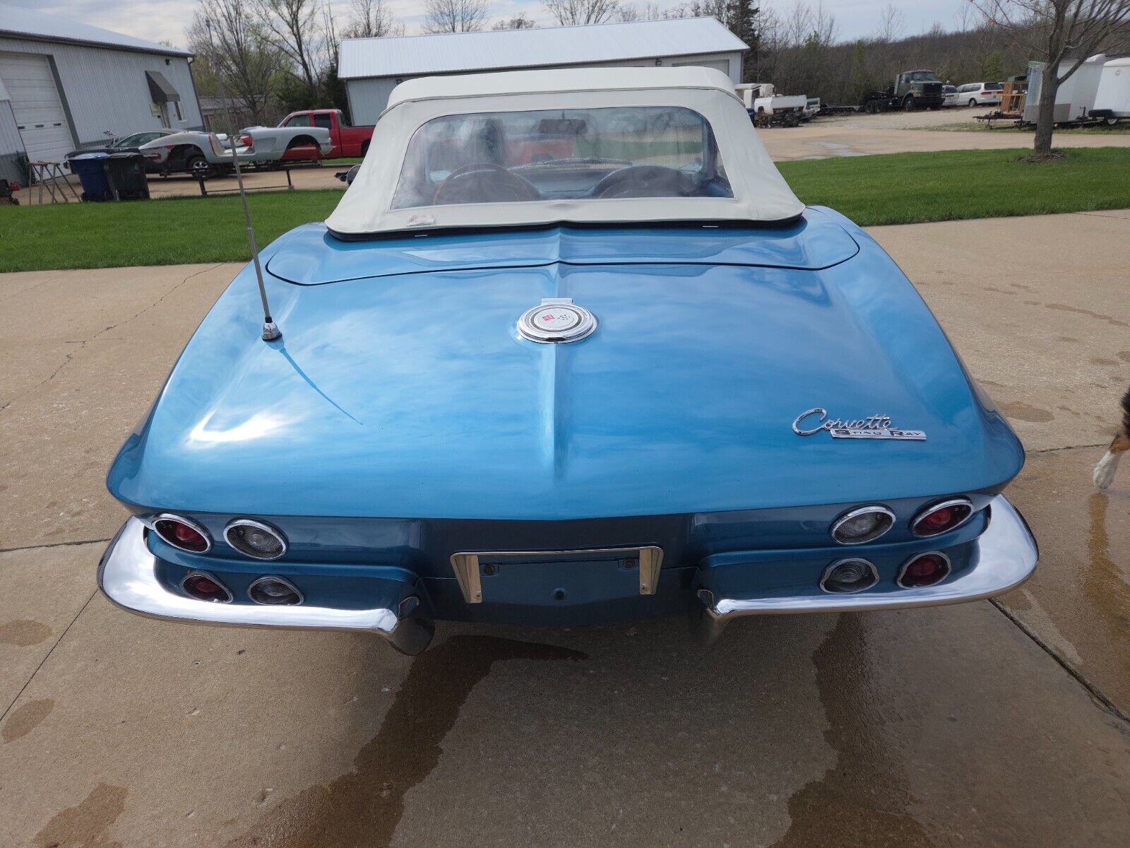 Chevrolet-Corvette-1965-Convertible-21
