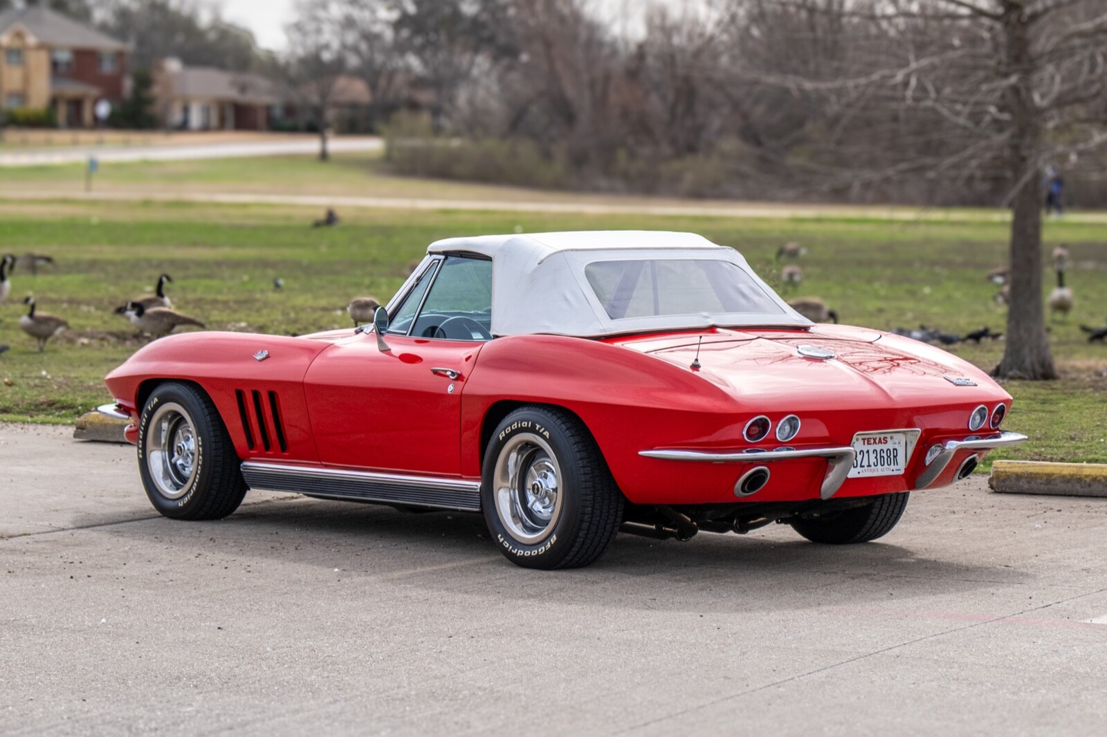 Chevrolet-Corvette-1966-Convertible-20