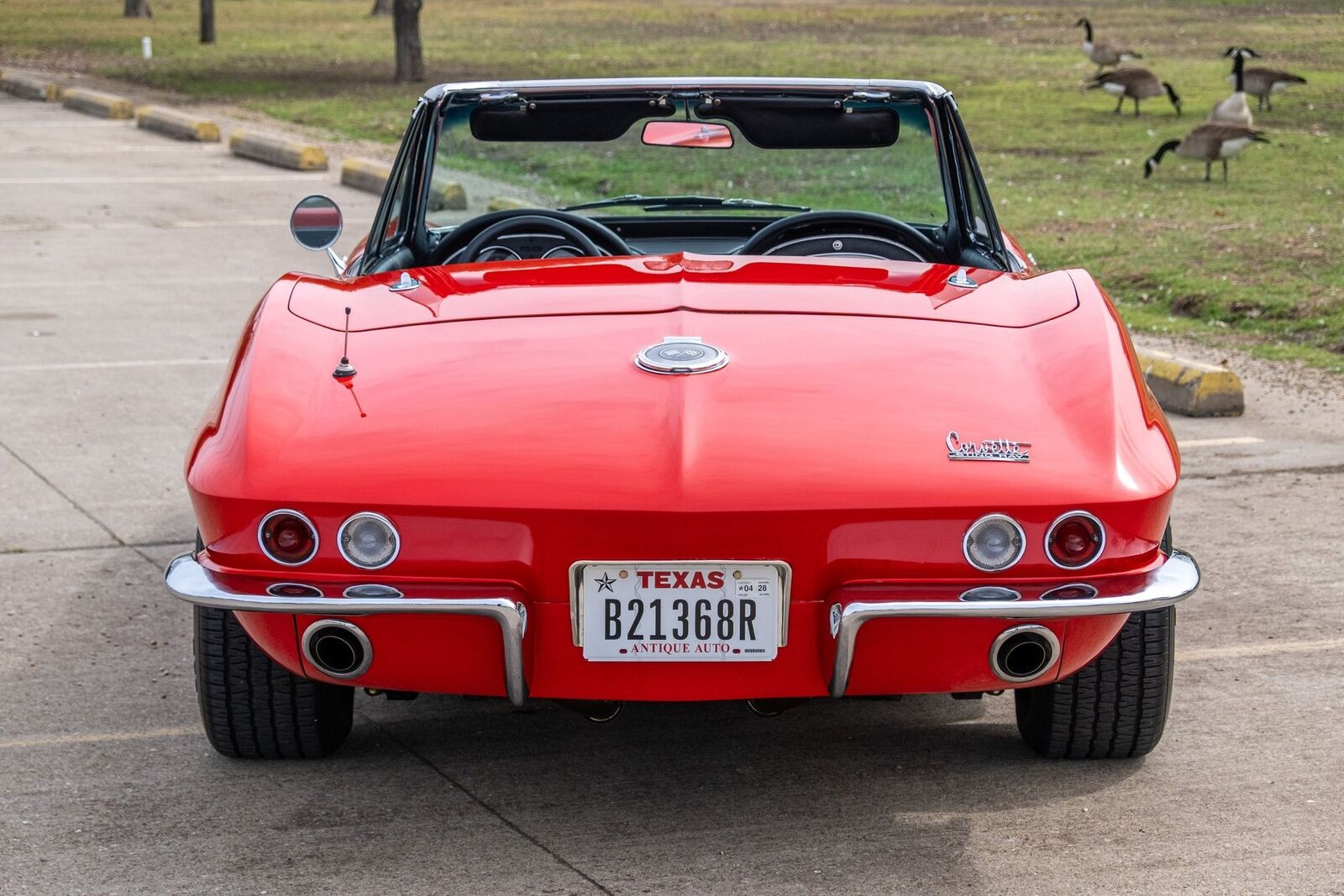 Chevrolet-Corvette-1966-Convertible-4