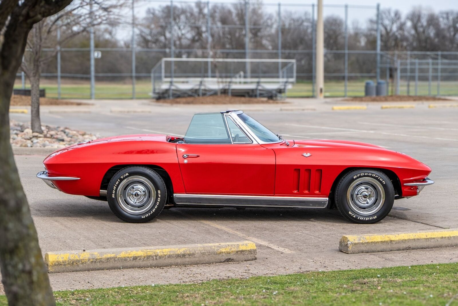 Chevrolet-Corvette-1966-Convertible-6