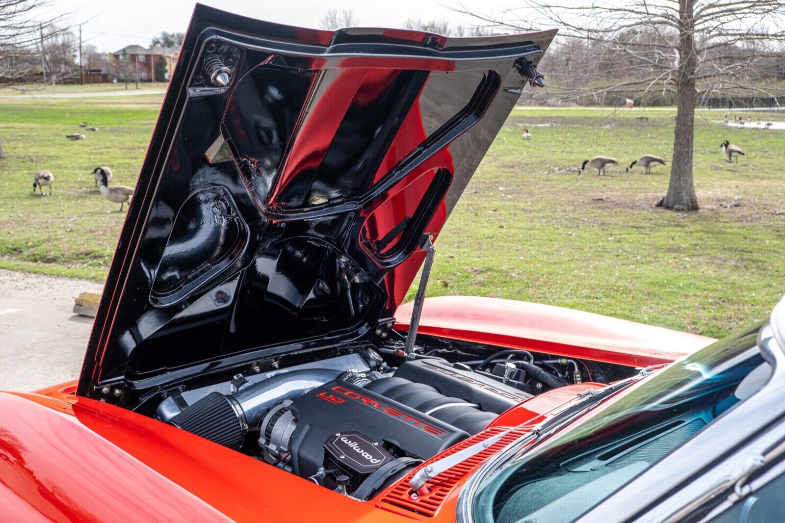 Chevrolet-Corvette-1966-Convertible-8
