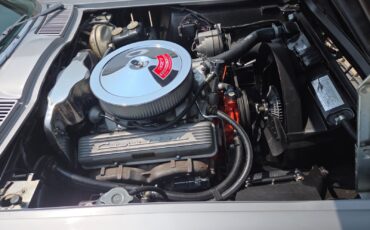 Chevrolet-Corvette-1966-Coupe-28