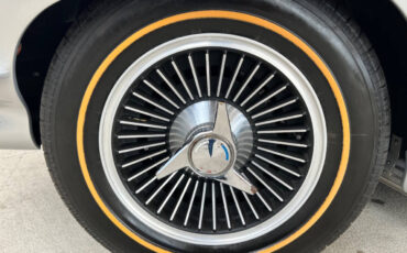 Chevrolet-Corvette-1966-Hatchback-26