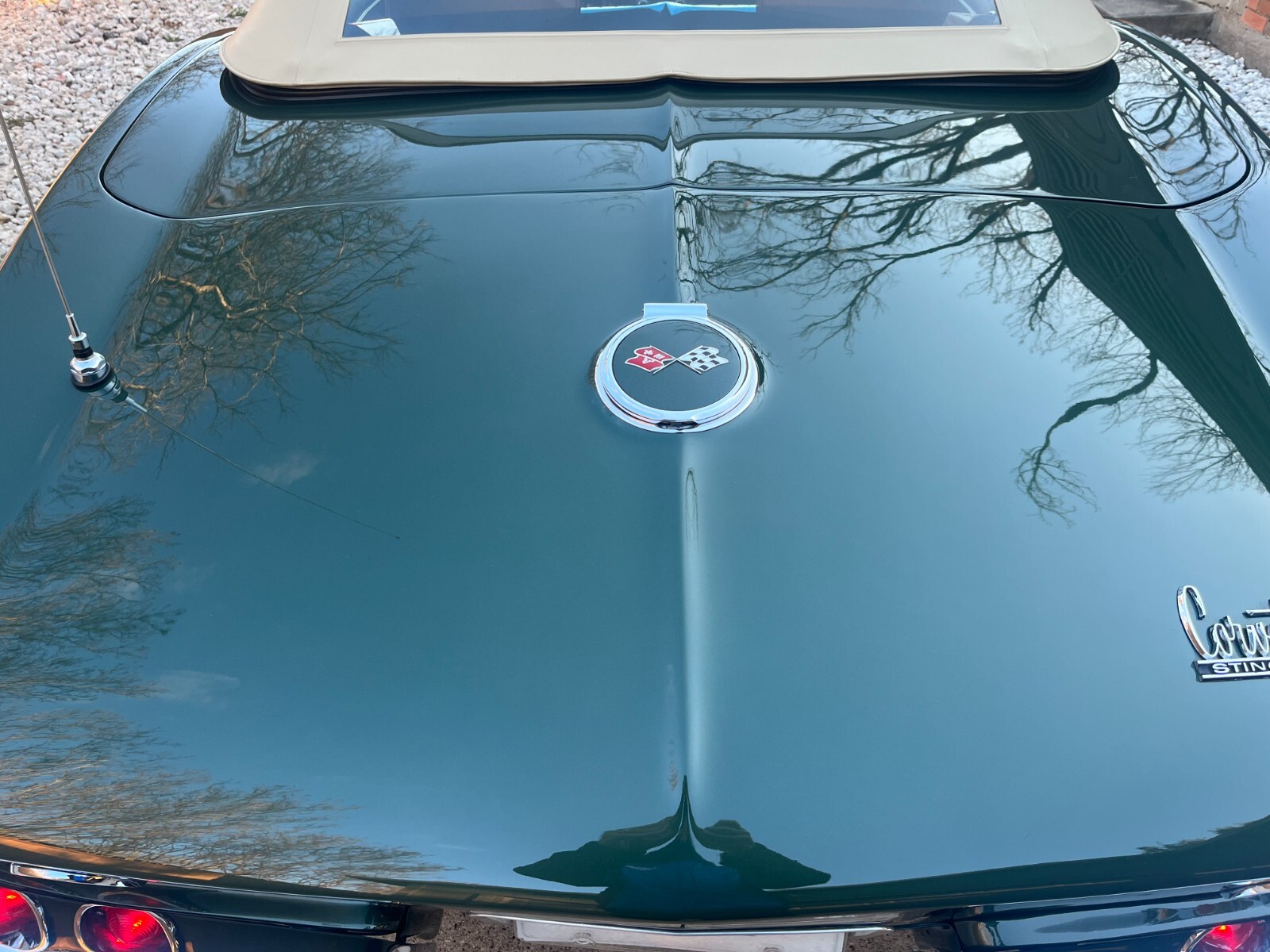 Chevrolet-Corvette-1967-Convertible-16