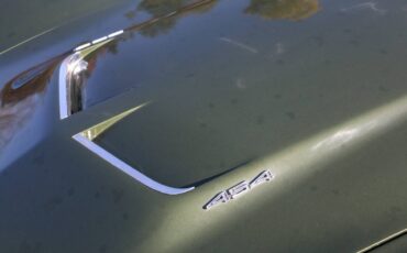 Chevrolet-Corvette-1970-green-8
