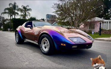 Chevrolet-Corvette-1973-3
