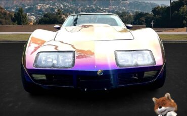 Chevrolet-Corvette-1973-9