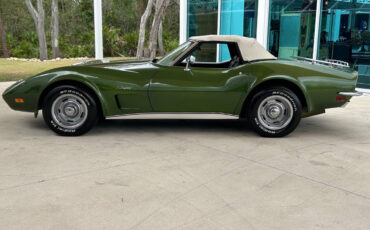 Chevrolet-Corvette-1973-Hatchback-11