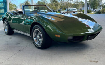 Chevrolet-Corvette-1973-Hatchback-2