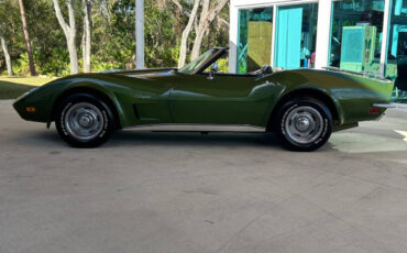 Chevrolet-Corvette-1973-Hatchback-7