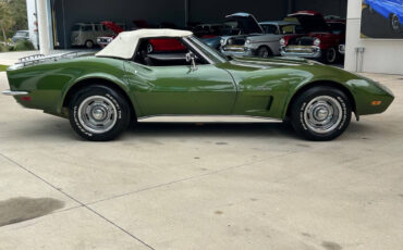 Chevrolet-Corvette-1973-Hatchback-9