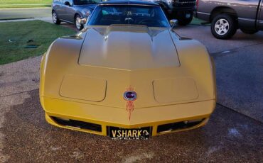 Chevrolet-Corvette-1973-yellow-3