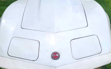 Chevrolet-Corvette-1974-Convertible-1
